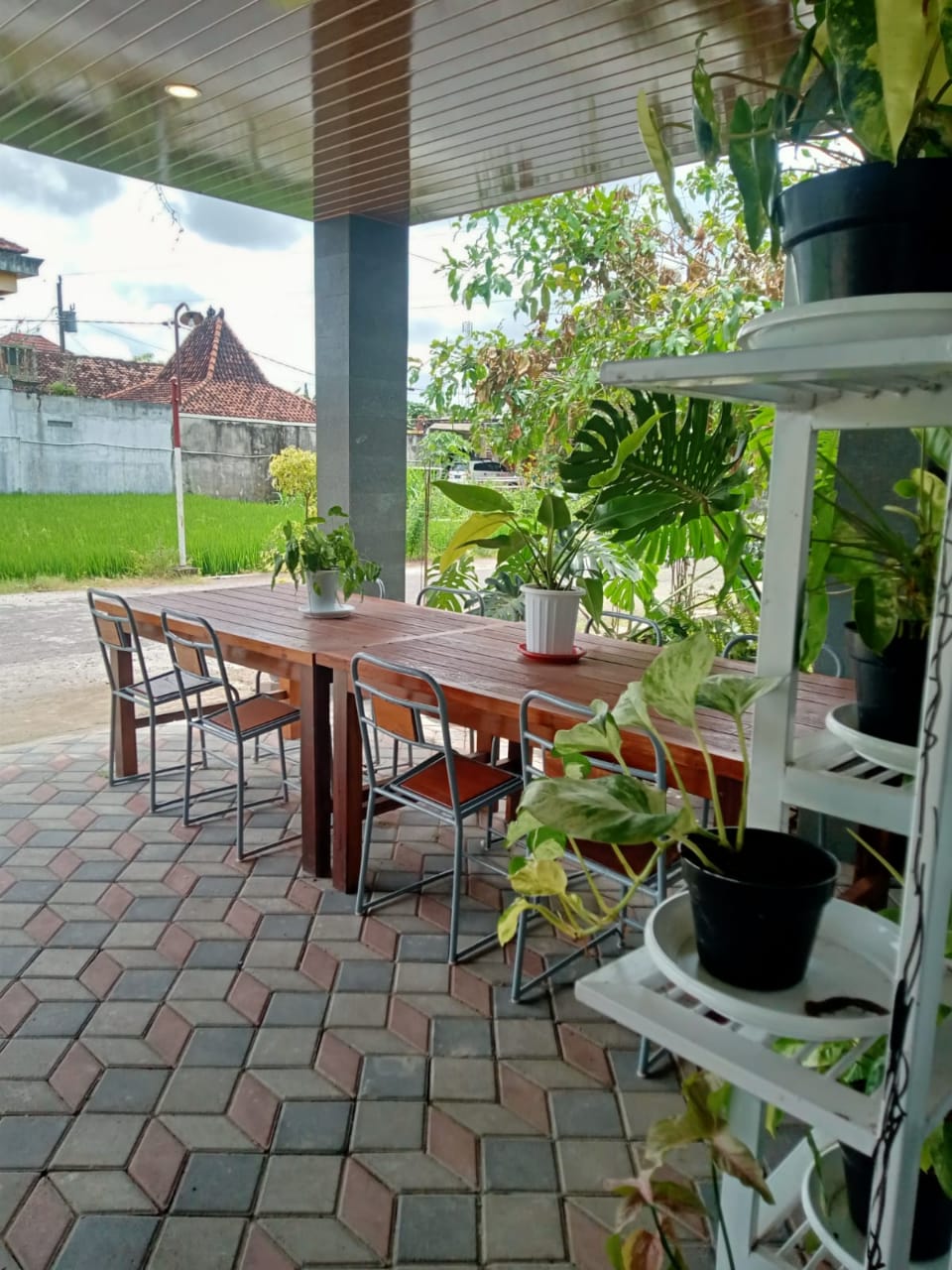 WhatsApp Image 2023-12-19 at 21.44.45